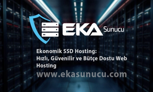 Economical SSD Hosting: Fast, Reliable, and Budget-Friendly Web Hosting
