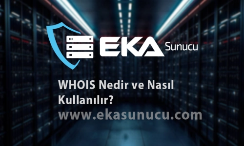 What is WHOIS and How Does it Work?