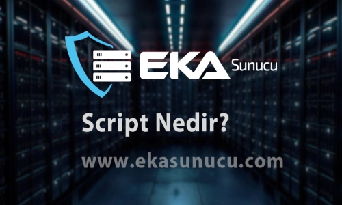 What is a Script? Types of Scripts