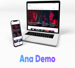 Wordpress Default Tema