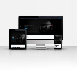 Expertise Website Software & Netgsm & Mail Smpt & Membership System & Open Source
