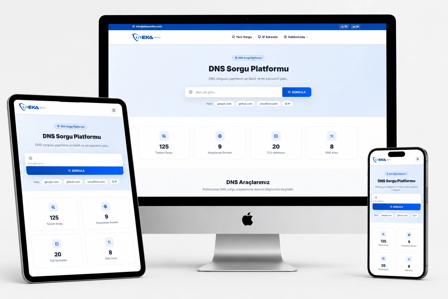EkaDNS — Profesyonel DNS Sorgulama ve Domain Analiz Scripti