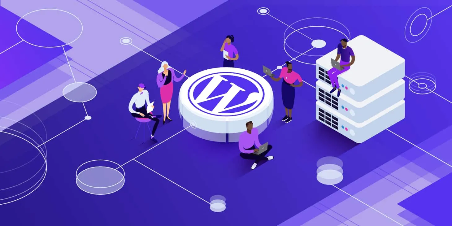 WordPress CDN Entegrasyonu