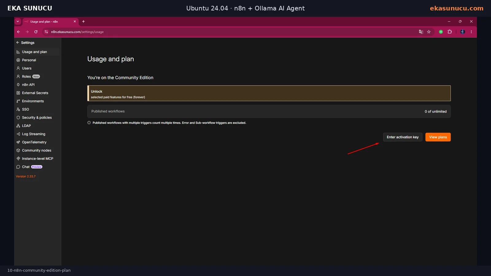 n8n Community Edition Usage and plan ekranı.