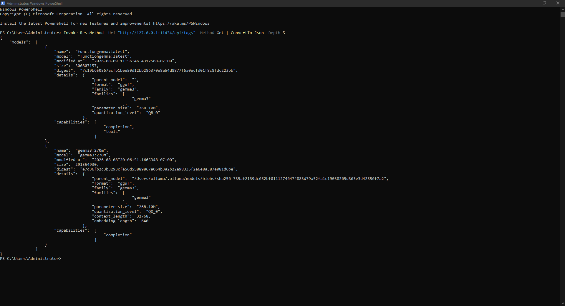 Ollama /api/tags uç noktasından kurulu modellerin JSON olarak doğrulanması.