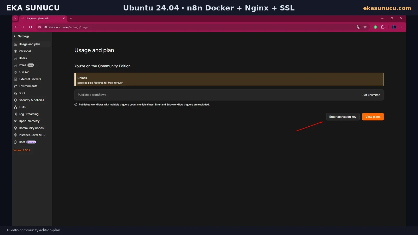 Self-hosted n8n Community Edition kullanım ve plan ekranı.